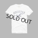 ホリスター・カンパニー（Hollister Co.）Men's Tシャツ