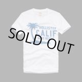 画像: ホリスター・カンパニー（Hollister Co.）Men's Tシャツ