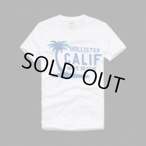 画像: ホリスター・カンパニー（Hollister Co.）Men's Tシャツ