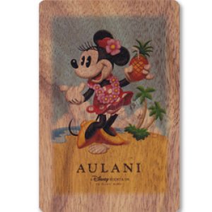 画像: ディズニーアウラニリゾート＆スパ（Disney AULANI Resrot & Spa）ポストカード（ハワイアンコア100%製）