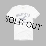 画像: ホリスター・カンパニー（Hollister Co.）Men's Tシャツ